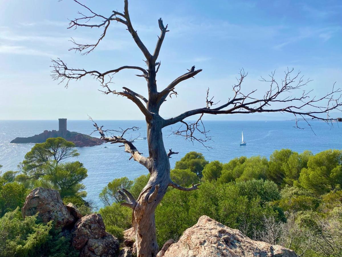 Port-frejus, Le Consul, 2 Pieces Climatise, Terrasse & Parking *