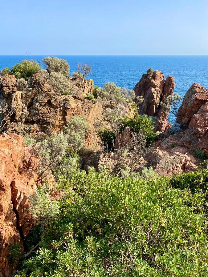 Port-frejus, Le Consul, 2 Pieces Climatise, Terrasse & Parking * Fréjus