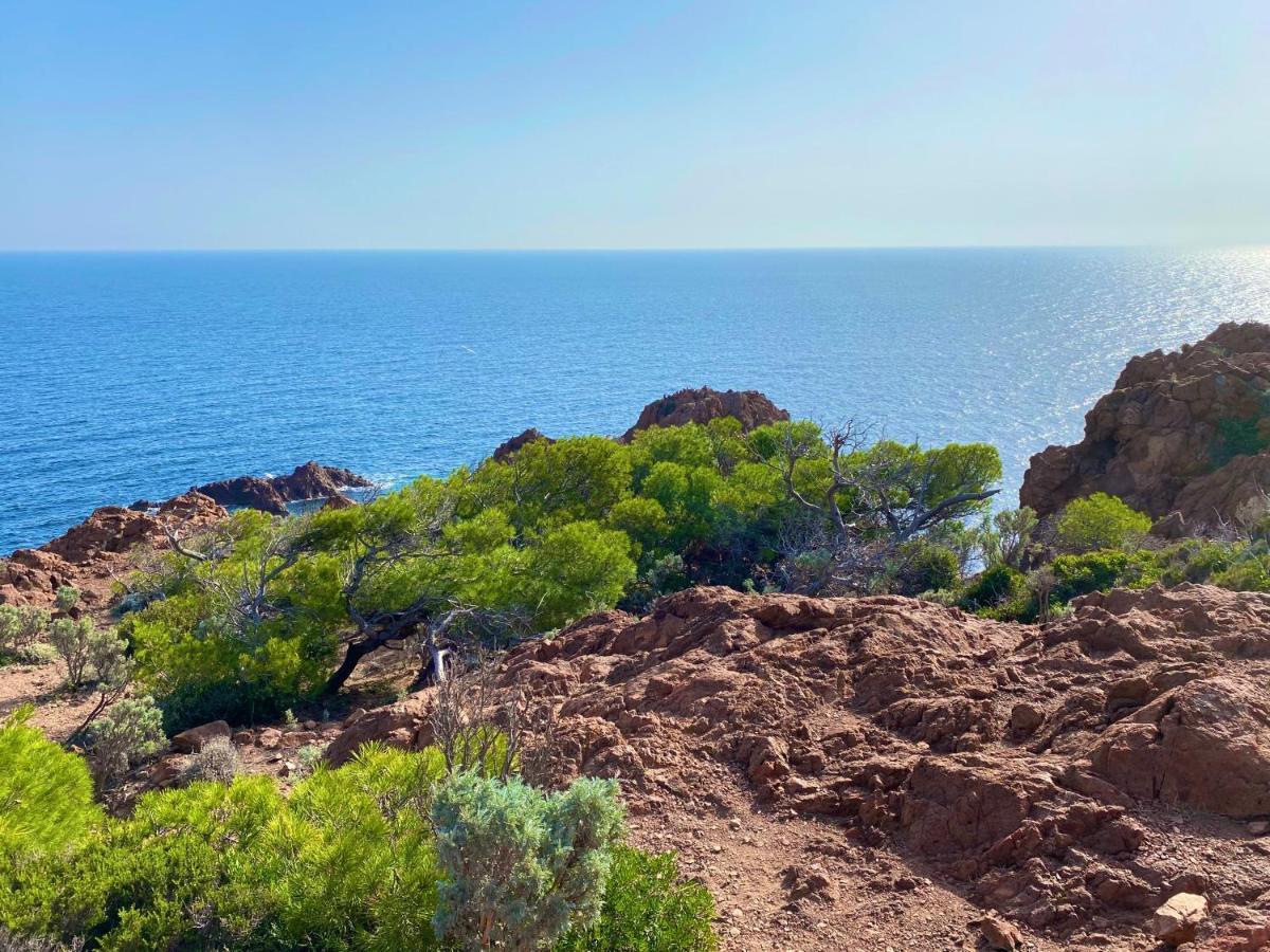 Port-frejus, Le Consul, 2 Pieces Climatise, Terrasse & Parking * Frejus