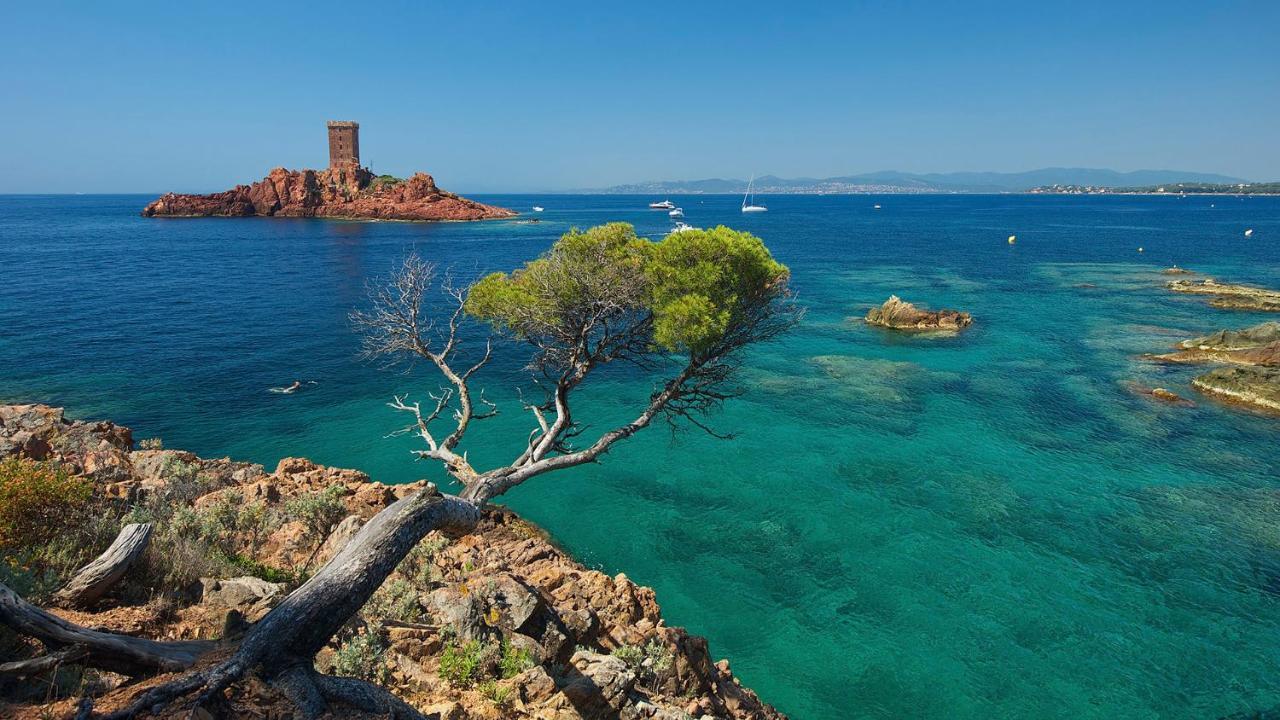 Port-frejus, Le Consul, 2 Pieces Climatise, Terrasse & Parking Apartment *