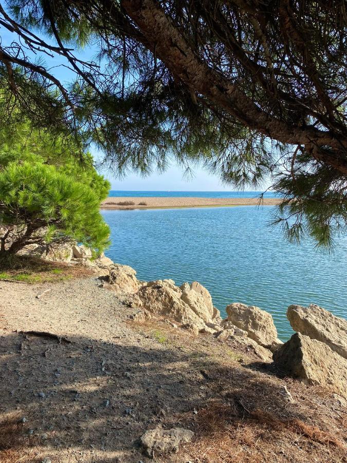Port-frejus, Le Consul, 2 Pieces Climatise, Terrasse & Parking Appartement
